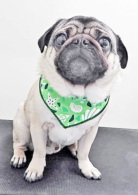 田邊ギンちゃん