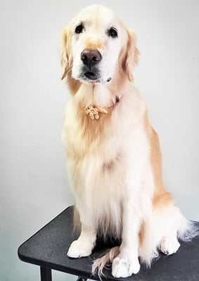 美代ジューンちゃん