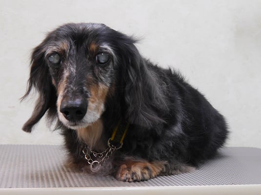 西山ユウちゃん