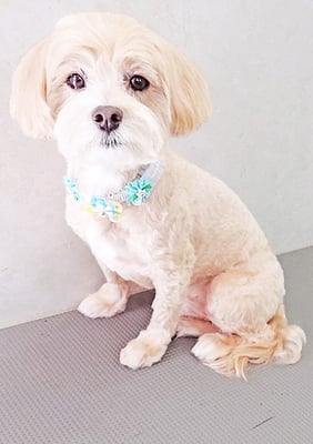 中村ももたろうちゃん