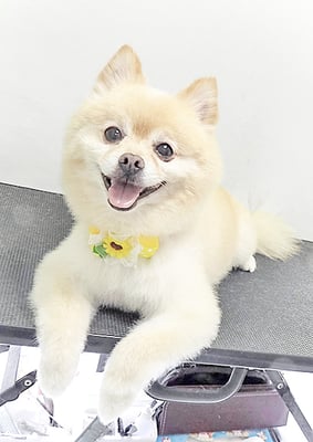 徳留クマちゃん