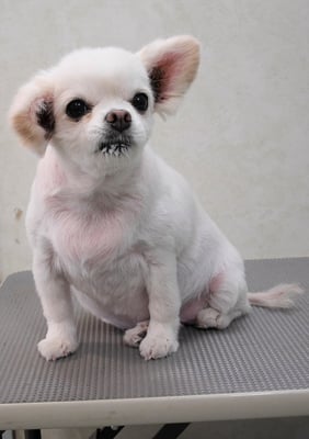 森崎ヒメちゃん