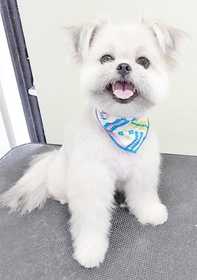 太崎ちゅらちゃん