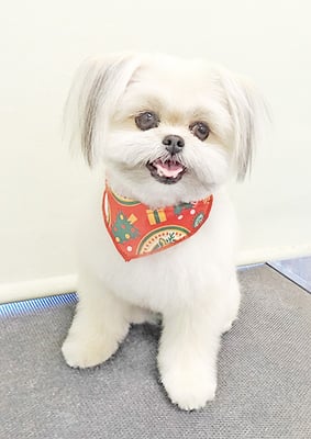 太崎ちゅらちゃん