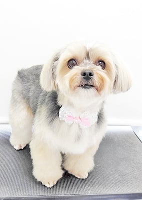 有馬まりんちゃん