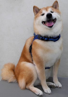 竹崎クウちゃん