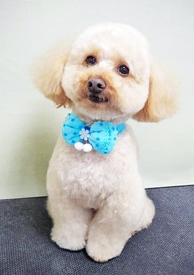 藤久保くうたちゃん