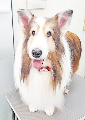 前野レオンちゃん