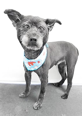 中田たろうちゃん