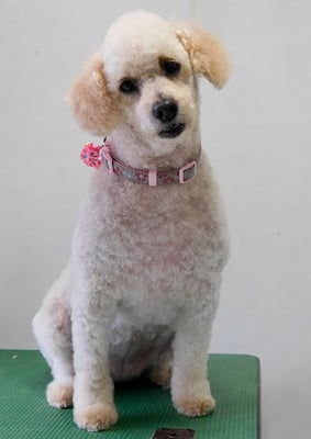 小森園ヒロミちゃん