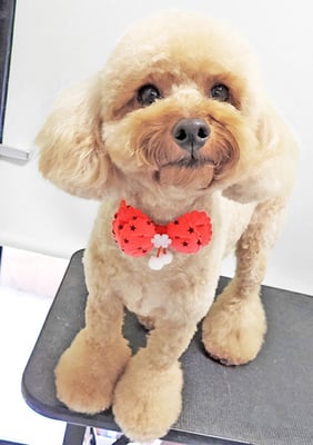 玉利ココちゃん