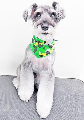 糸山そらちゃん