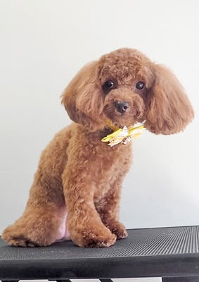 中川ナディアちゃん