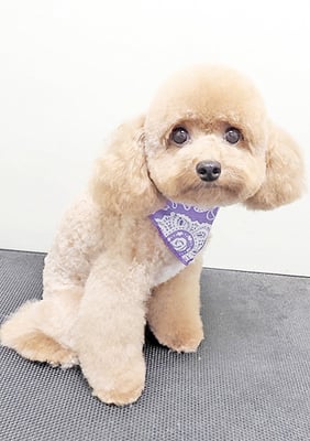 田淵マロンちゃん