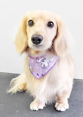 河野元気ちゃん