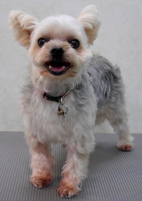 岡元ベリーちゃん