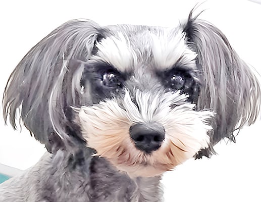 岩川みくりちゃん