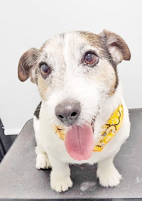 外園マロちゃん