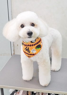 長谷ラナちゃん