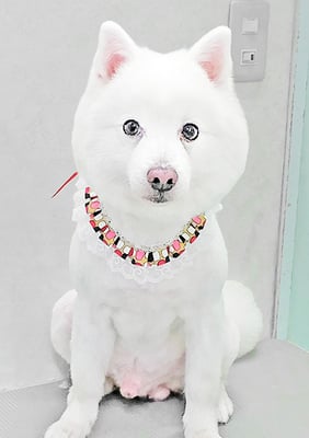 森重ハルちゃん