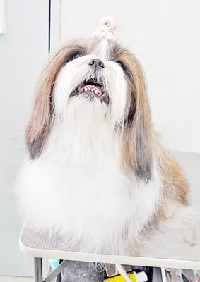 眞邉モモちゃん