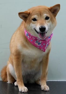 有馬コナツちゃん