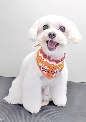 濱島クレアちゃん