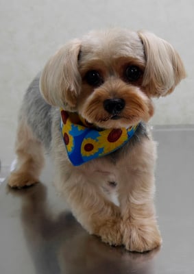 山下レオちゃん