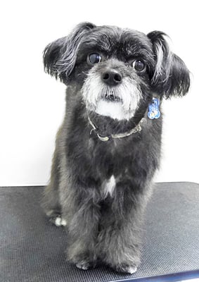 濵田リヨンちゃん