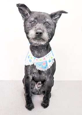 中田たろうちゃん