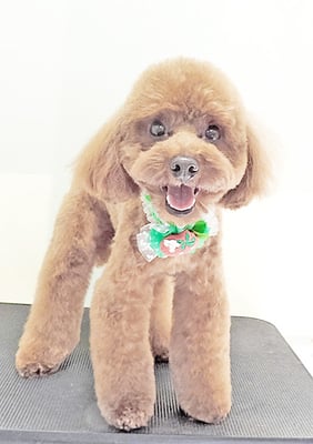 大山弦之介ちゃん