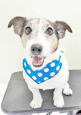 外園マロちゃん