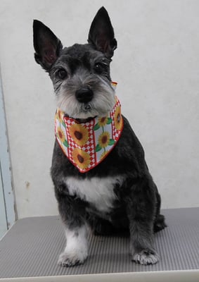 蔵薗ヒメちゃん