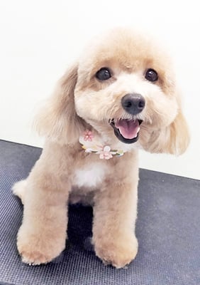 丸山小琴ちゃん