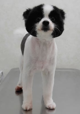 森崎マリアンちゃん