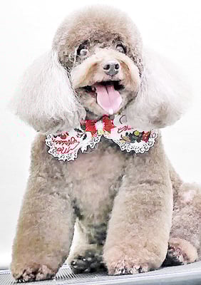 山口クレアちゃん