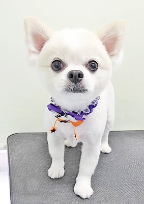 枦山れおちゃん