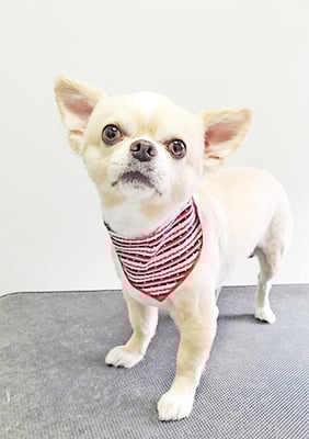 林レオンちゃん