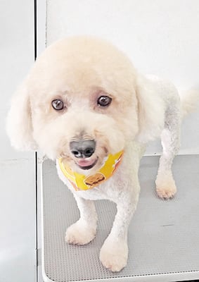 有村ルークちゃん