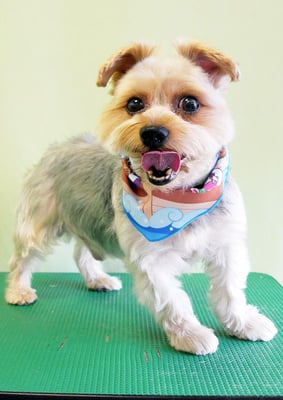 山下レオちゃん