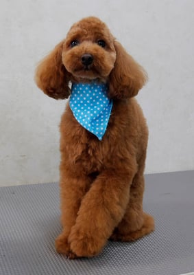 森田諭吉ちゃん