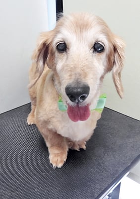 中山ジンちゃん