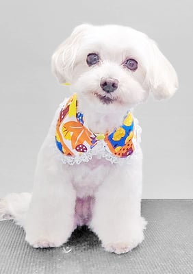 濱島クレアちゃん