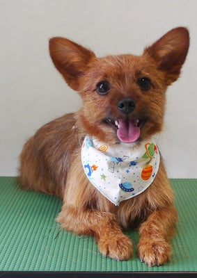 助村ルウちゃん