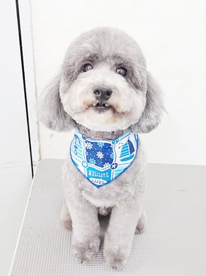 橋口最中ちゃん