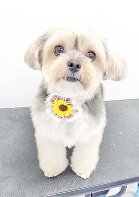 有馬まりんちゃん