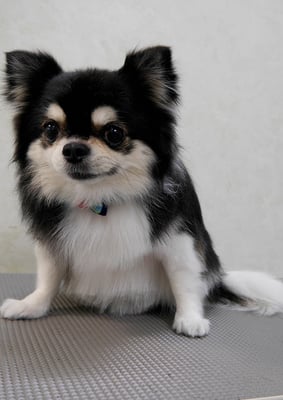 濱本シュウちゃん