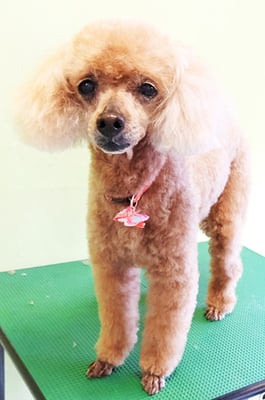 平松クーちゃん