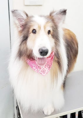 前野レオンちゃん