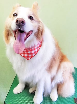 森本アンズちゃん